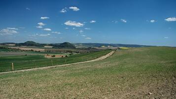 Un paysage rural avec un chemin de terre menant à un champ verdoyant, entouré de vastes champs et d’une colline lointaine.