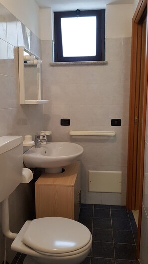 Secador de pelo y toallas