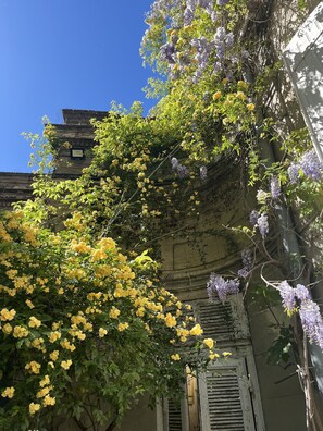 Fachada del alojamiento