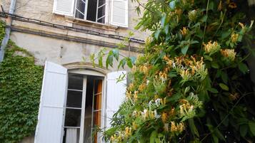 Un bâtiment doté d’une fenêtre avec des volets blancs, d’une porte et d’une vigne ornée de fleurs jaunes.