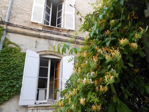 Front of property - Cocooning (Avignon)