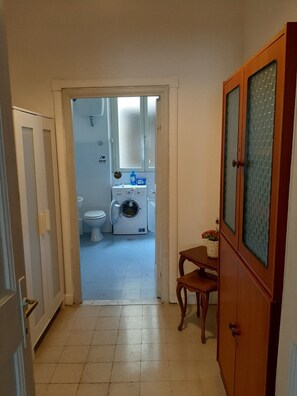 Shower, hair dryer, bidet, towels
