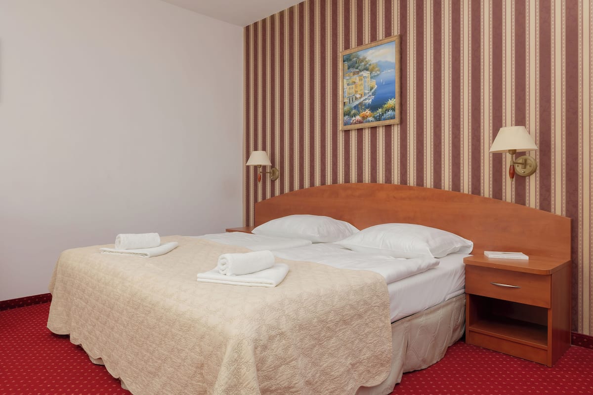 Standard Double Room | Desk, free WiFi