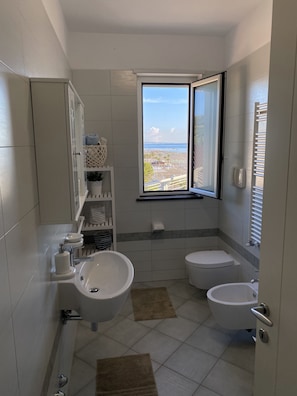 Shower, hair dryer, bidet, toilet paper
