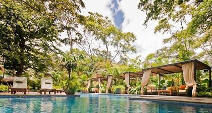 Ibis Tamarindo Condos and Beach Club