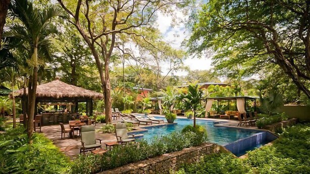 Apartment, Multiple Beds (Standard Apartment) | Pool | Outdoor pool, an infinity pool