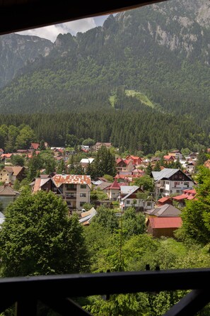 Premium Double Room | Minibar, desk, laptop workspace, blackout drapes - Kayus (Busteni)