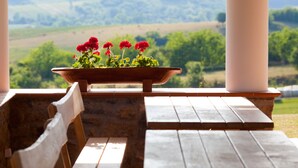 Family House | Terrace/patio - Öreghegy Vindornyalak (Vindornyalak)