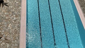Een rechthoekig zwembad met helder water en zwarte banen, omgeven door een terras van stenen tegels en potplanten.