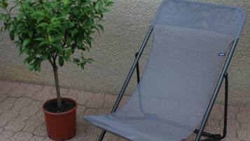A foldable chair next to a potted plant on a paved surface.