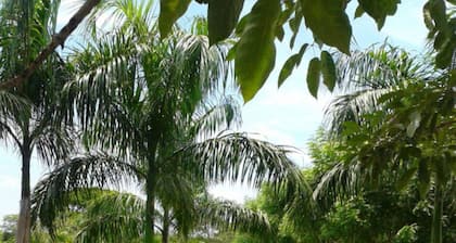 Hotel Shalom - Hostel