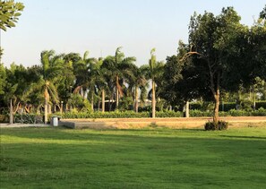 Ecotours - Hotel Shalom - Hostel (Palmar de Varela)