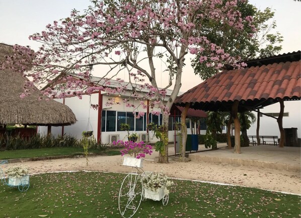 Vườn