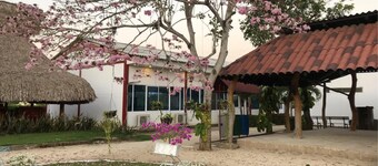 Hotel Shalom - Hostel