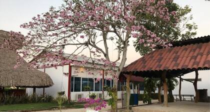 Hotel Shalom - Hostel
