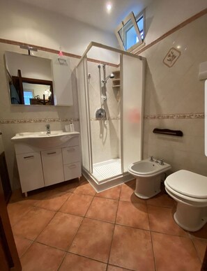 Shower, hair dryer, bidet, towels