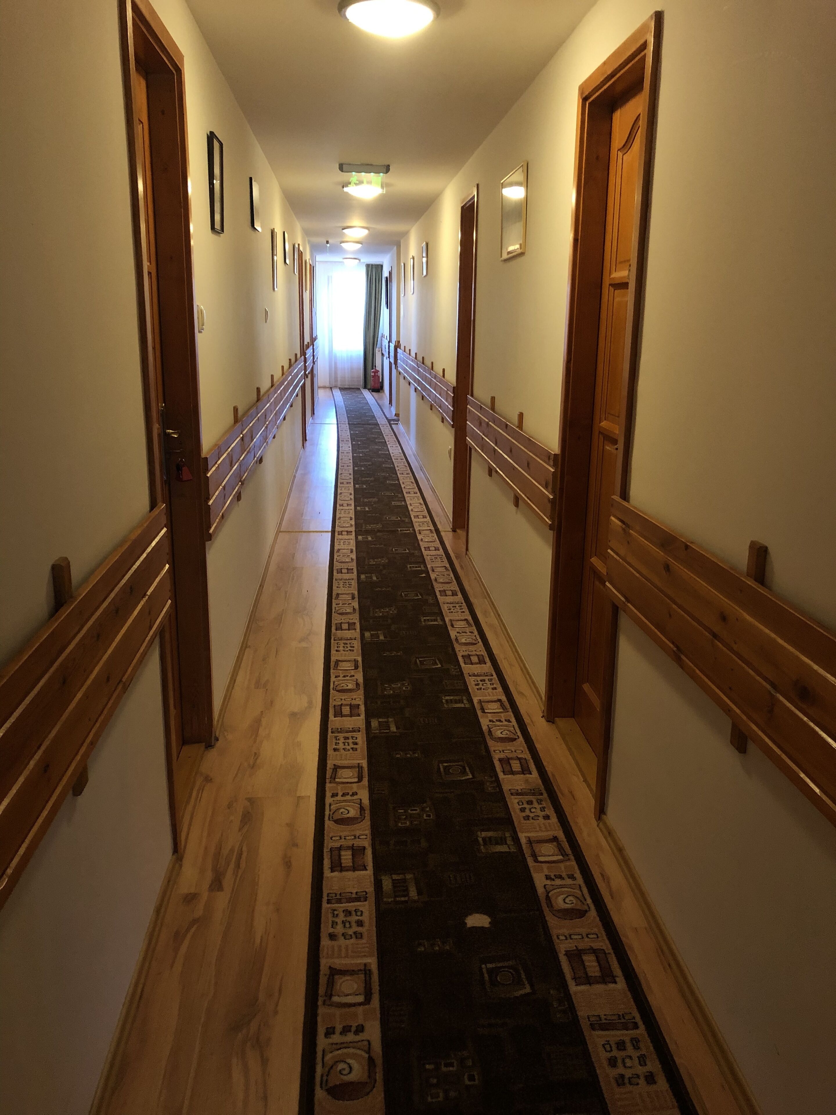 A long hallway with wooden doors on either side, a patterned carpet, and a light source at the end.