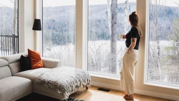 TV, fireplace, offices