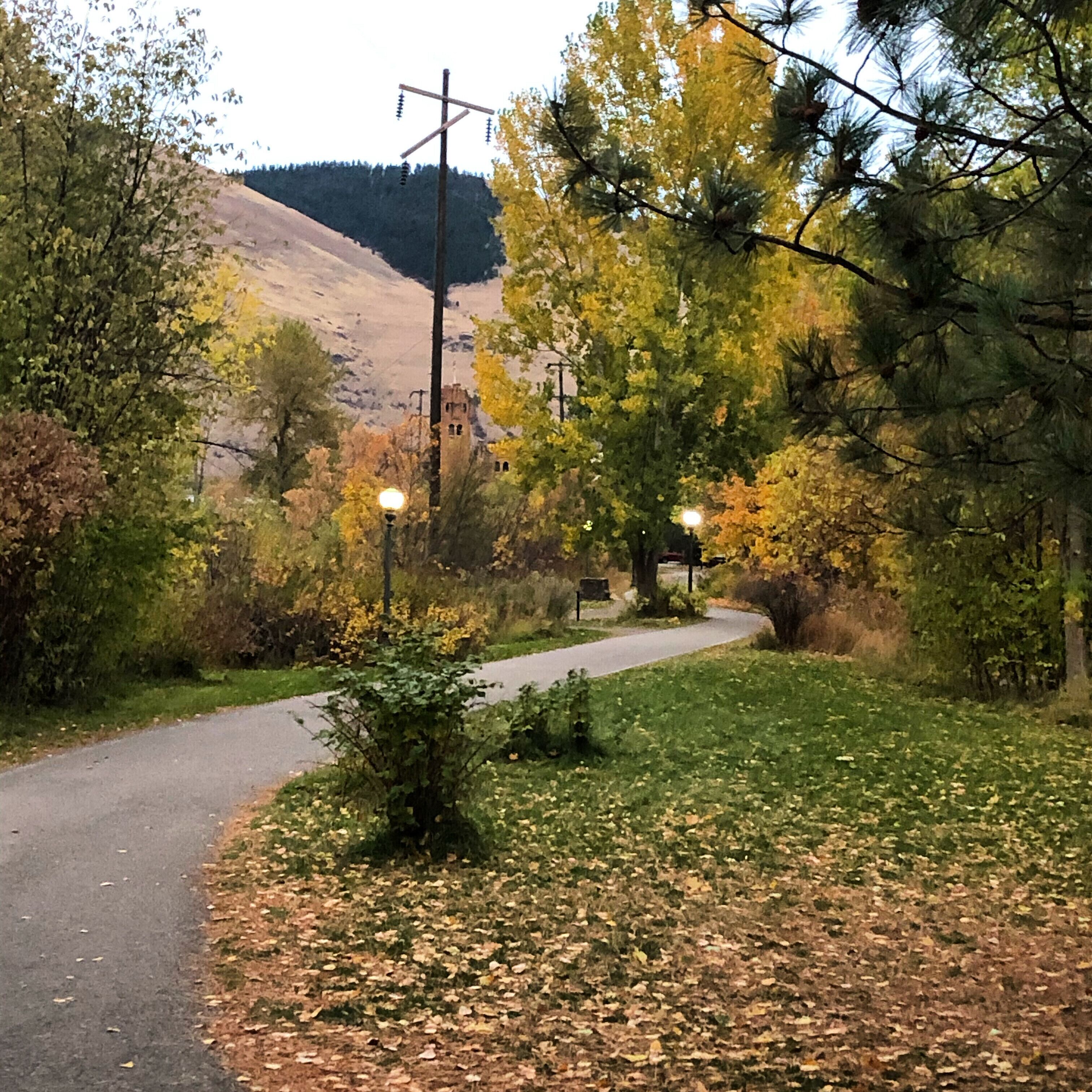 A paved road curving through a wooded area with autumn foliage, a small hill in the background, and a utility pole with wires.