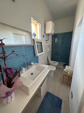 Hair dryer, towels, soap, toilet paper