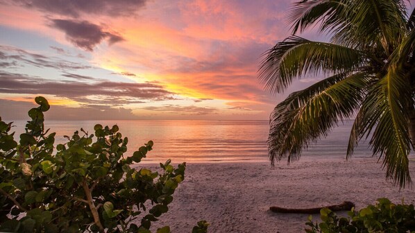 Una playa con atardecer, palmeras y mar en calma.