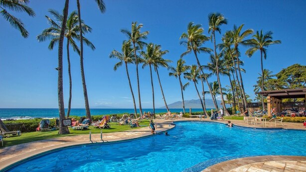 Una piscina rodeada de palmeras y vista al océano.