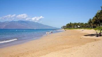 Plage à proximité, chaises longues, serviettes de plage