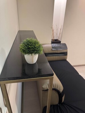 A small black table with a white pot containing a green plant.