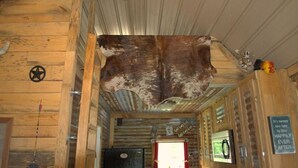 Een rustiek interieur met houten wanden, een dierenvacht aan de muur, een deur met rood gordijn, en een bord met een bemoedigende boodschap.