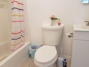 Sèche-cheveux, serviettes fournies, papier toilette