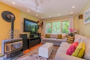 Smart TV, fireplace, DVD player, video library