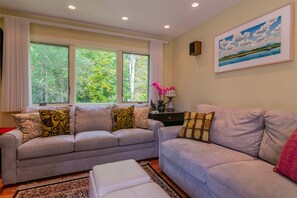 Smart TV, fireplace, DVD player, video library