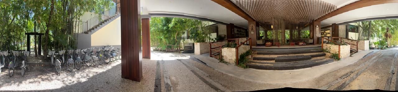 Un espace extérieur abrité, avec des marches menant à un coin salon, entouré d’arbres et bordé d’un chemin de gravier.