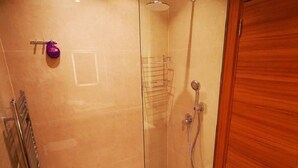 A modern bathroom with a glass shower enclosure, a wooden door, and a towel rack.