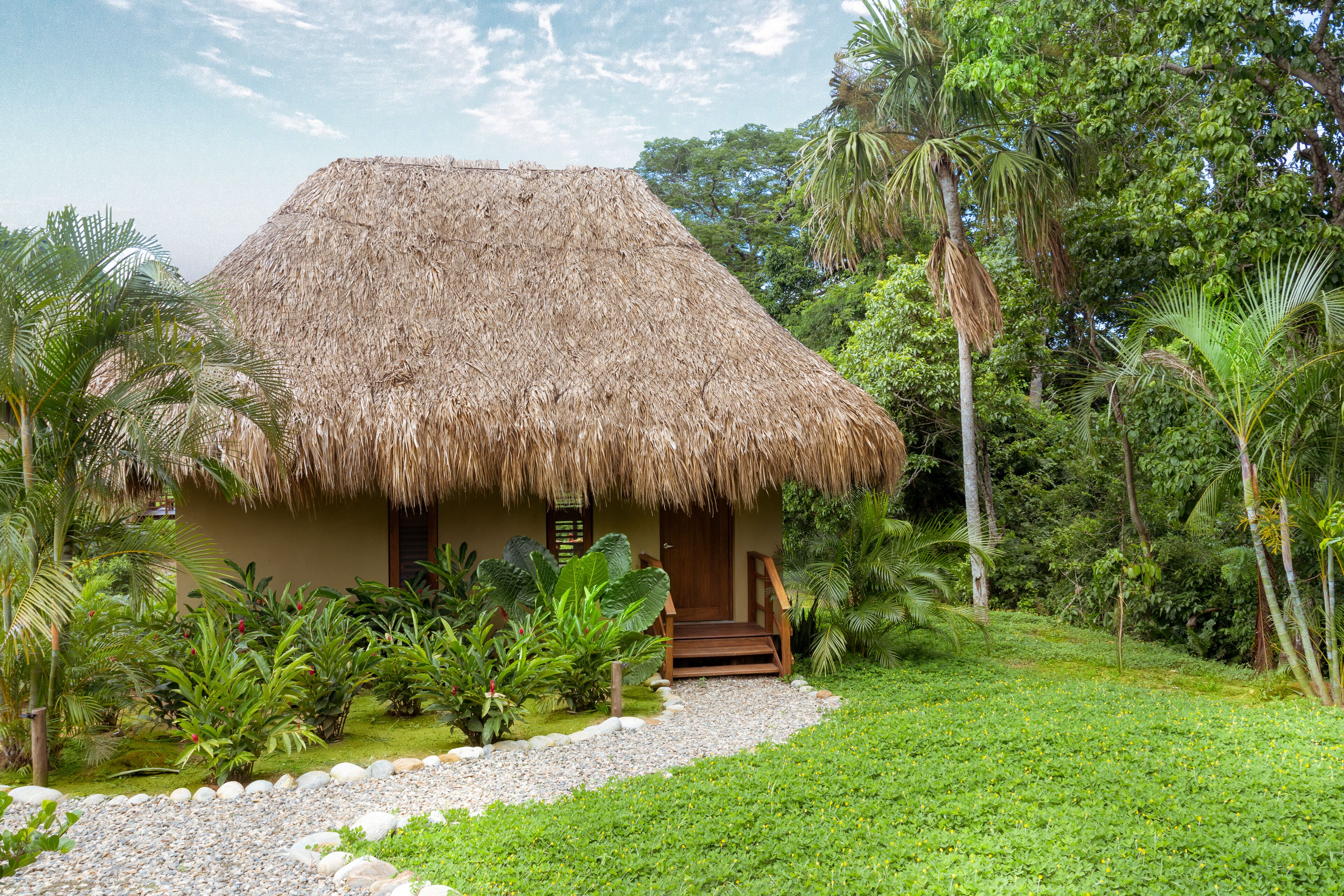 A thatched-roof house surrounded by lush greenery.
