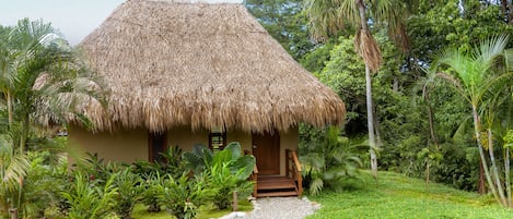 A thatched-roof house surrounded by lush greenery.