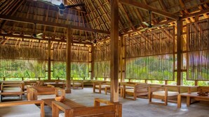 Quarto com painéis de bambu, mobiliário de madeira e amplas janelas.