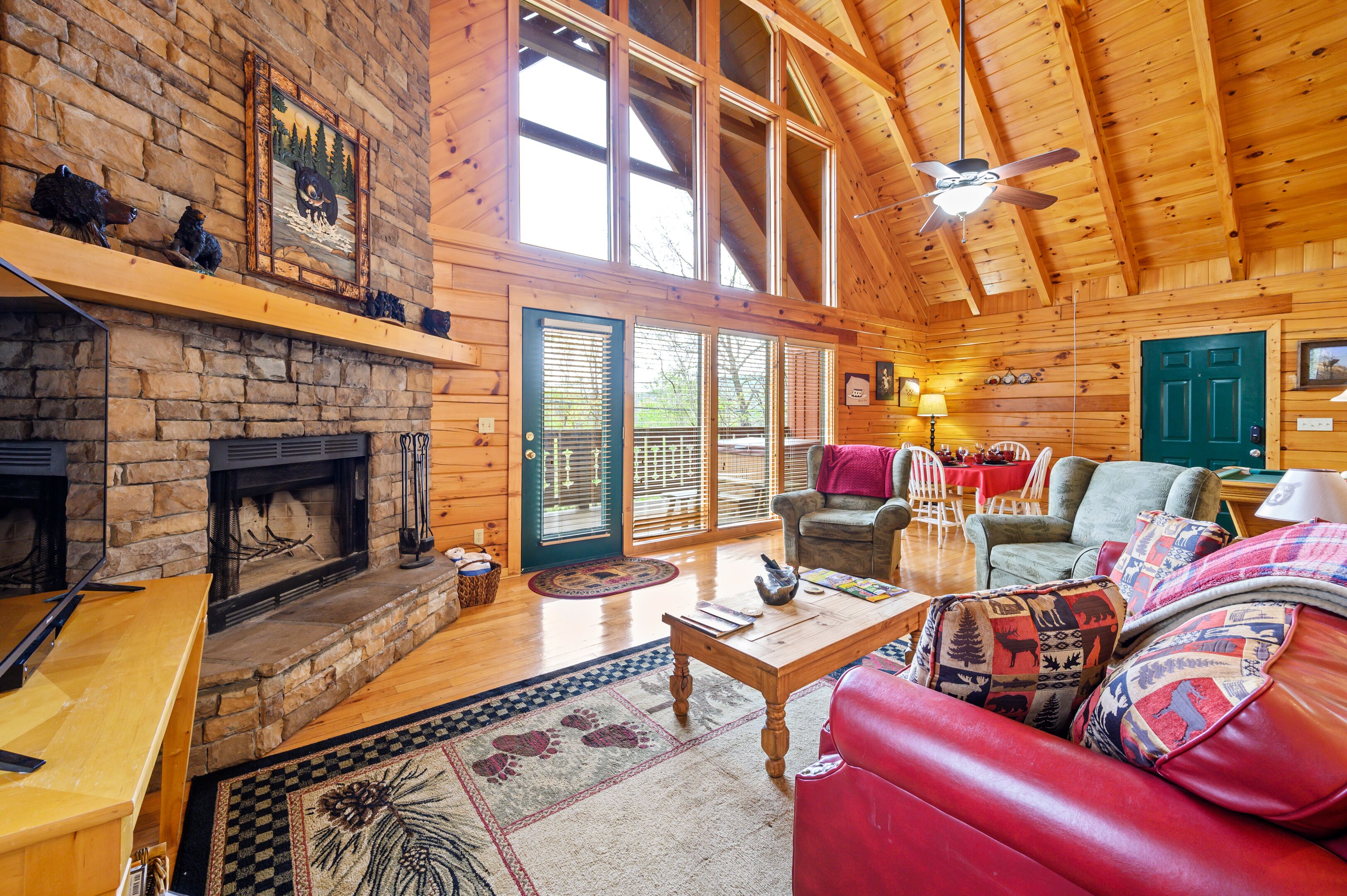 Smart TV, fireplace, DVD player, books