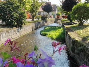 A narrow water channel with a stone wall on one side and a grassy area on the other. There are trees and a building in the background.
