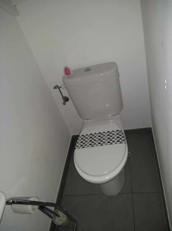 A toilet with a checkered pattern on the base, a visible toilet paper holder, and a wall-mounted flush handle.