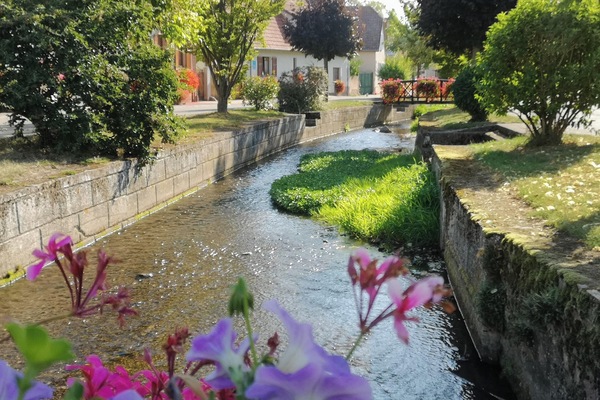 Área da propriedade