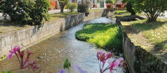 Homerez - Charming House in Stotzheim with Garden