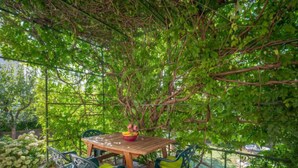 Une terrasse extérieure avec une table en bois et quatre chaises, entourée d’une végétation luxuriante et d’une clôture en métal.