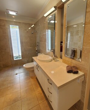 Une salle de bain moderne avec un grand lavabo, des toilettes et un espace douche.