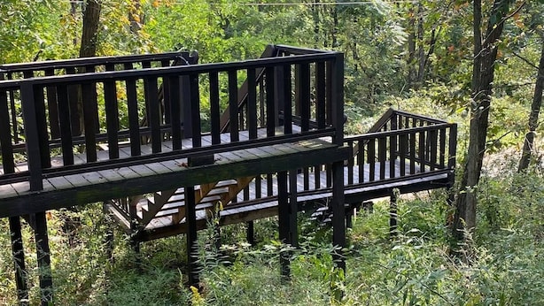 A wooden bench in a wooded area with dense foliage and trees. -  hot tub, grill, fireplace, Hocking Hills, Buckeye Lake, Legend Valley (Somerset)