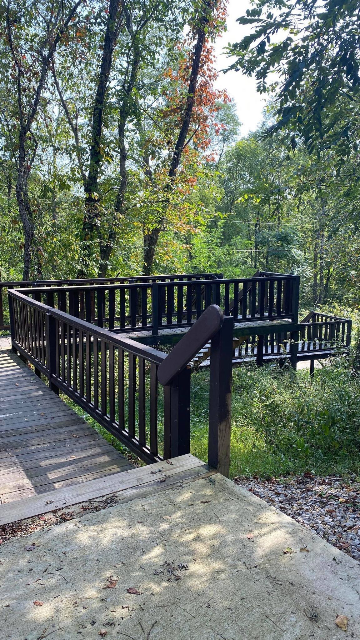 A wooden bridge with a metal railing in a park.