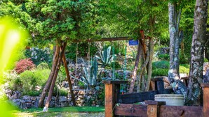 Une clôture en bois, dans un jardin à l’ambiance rustique, agrémenté de diverses plantes et avec un mur de pierres en arrière-plan.