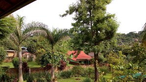 Room, 1 Bedroom, Smoking, Balcony | Exterior
