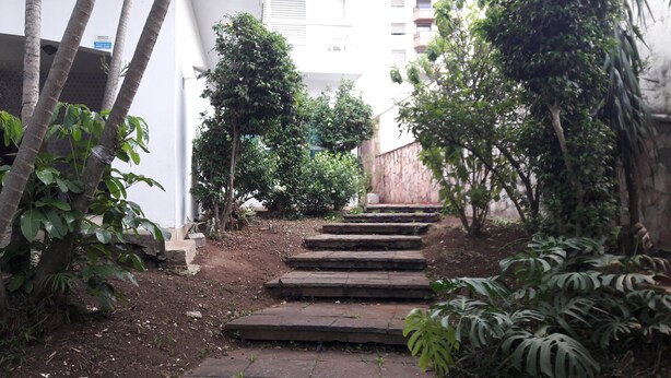 Una escalera estrecha de piedra que conduce a la entrada de un edificio, rodeada de abundante vegetación y árboles.