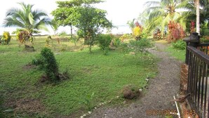 Ein Garten mit Kiesweg, Palmen und Holzzaun.